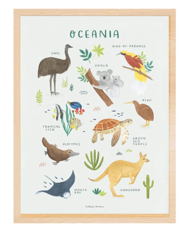 Lilipinso Living Earth Poster - Dieren van Oceanië