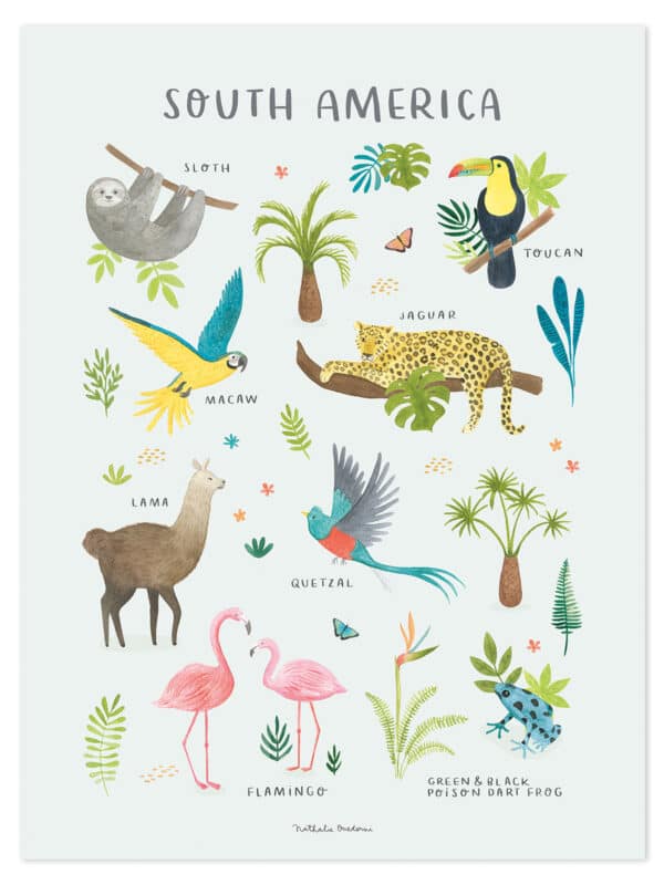 Lilipinso Living Earth Poster - Dieren van Zuid Amerika