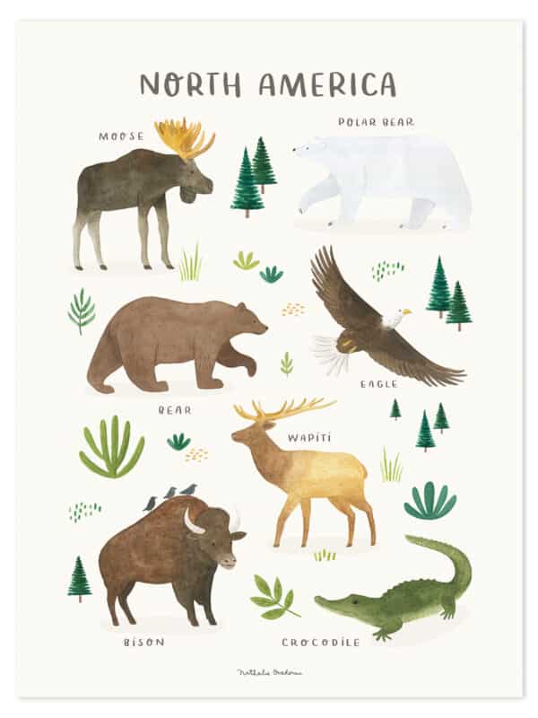 Lilipinso Living Earth Poster - Dieren van Noord Amerika
