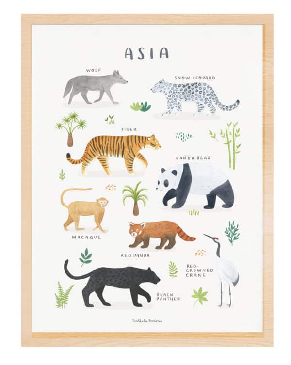 Lilipinso Living Earth Poster - Dieren van Azië
