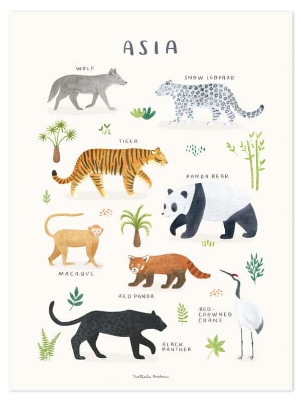 Lilipinso Living Earth Poster - Dieren van Azië