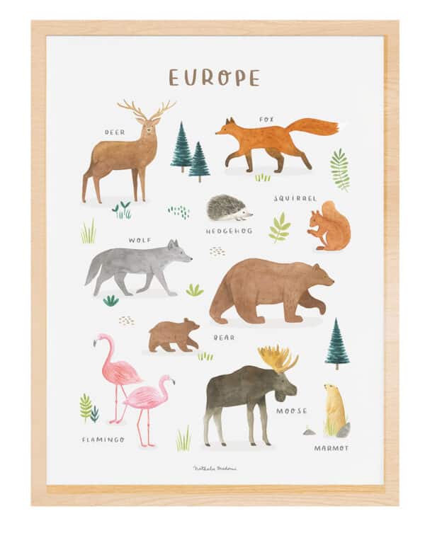 Lilipinso Living Earth Poster - Dieren van de Europa