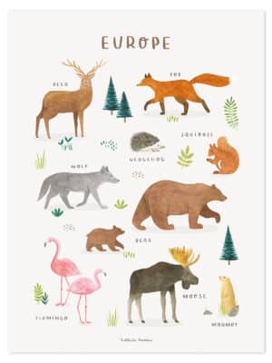 Lilipinso Living Earth Poster - Dieren van de Europa