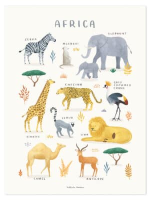 Lilipinso Living Earth Poster - Dieren van Afrika