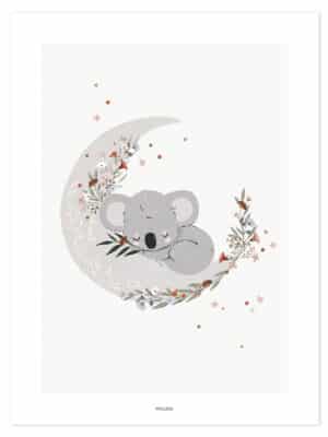3700412487051 Lilipinso Lilydale Poster - Cute Koala
