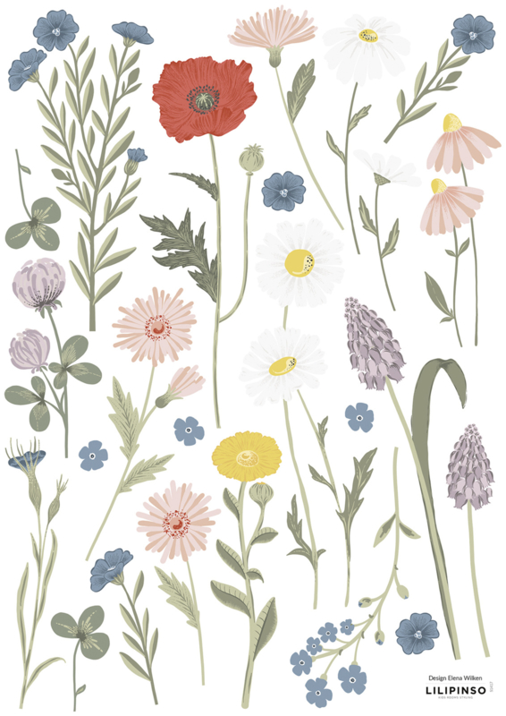 Lilipinso Countryside Muurstickers A3 - Wildflowers Papaver