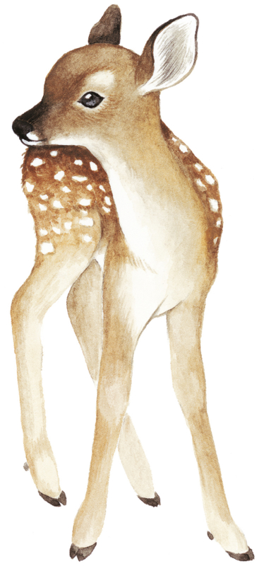 Lilipinso Oh Deer Muursticker XL - Fawn