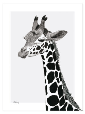 Lilipinso Serengeti Poster - Giraf (P0265)