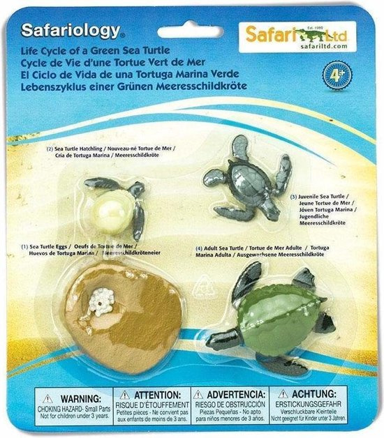 Safari Levenscyclus - Groene Zeeschildpad