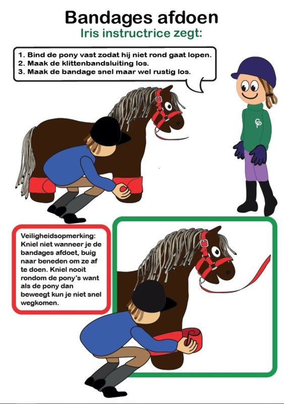 Crafty Ponies Bandages Blauw incl. instructieboekje