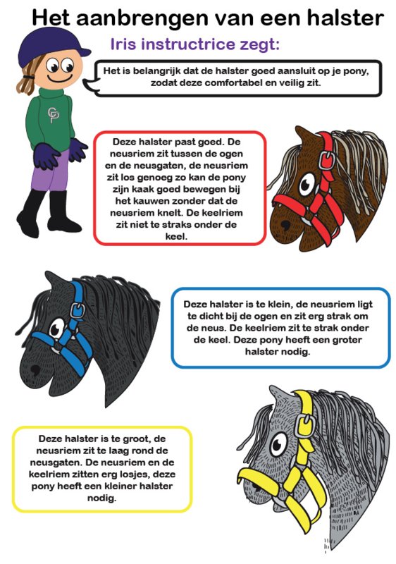 Crafty Ponies Halster Blauw incl. instructieboekje
