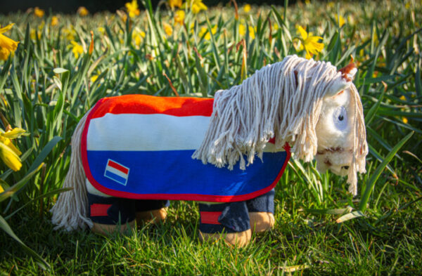Crafty Ponies Nationale Wedstrijdset Nederlandse vlag incl. instructieboekje