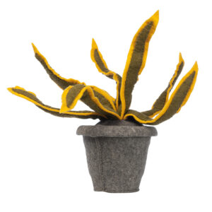 KidsDepot Kamerplant Vilt - Sanseveria Yellow