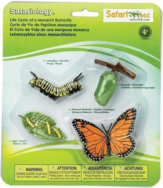 Safari Levenscyclus - Monarch Vlinder