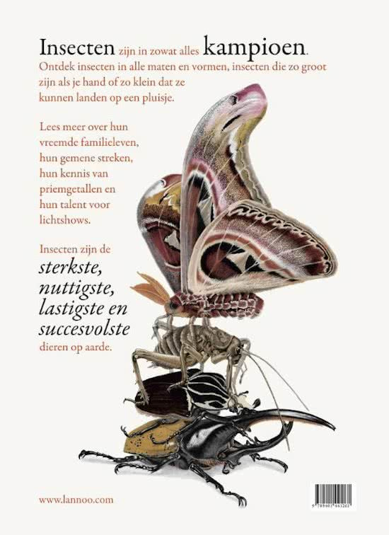Uitgeverij Lannoo Het Wonderlijke Insectenboek - Bart Rossel