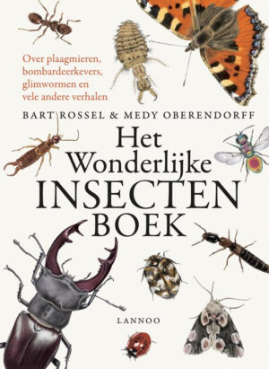 Uitgeverij Lannoo Het Wonderlijke Insectenboek - Bart Rossel