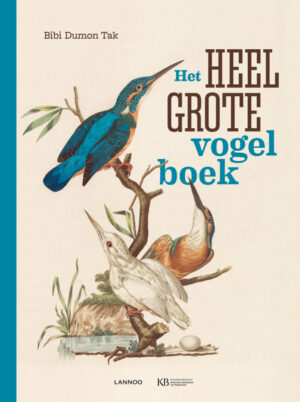 Uitgeverij Lannoo Het Grote Vogelboek - Bibi Dumon Tak