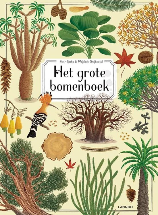 Uitgeverij Lannoo Het Grote Bomenboek - Piotr Socha