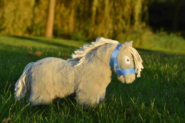 CP354 Crafty Ponies Veulen Halster Baby Blauw bij Grasonderjevoeten (3)