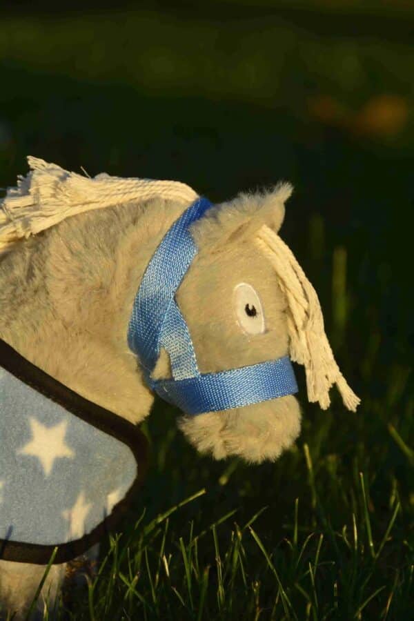 CP354 Crafty Ponies Veulen Halster Baby Blauw bij Grasonderjevoeten (4)