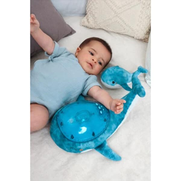 Cloud B Tranquil Whale Familie Blauw Walvis Muzikale Babyprojector 3700552320096