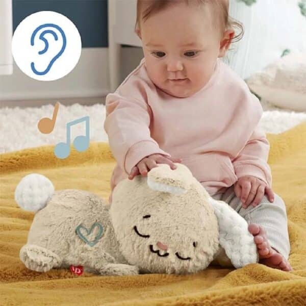 Fisher Price Kalmerend Konijntje Soothe and Settle Bunny 0194735229659