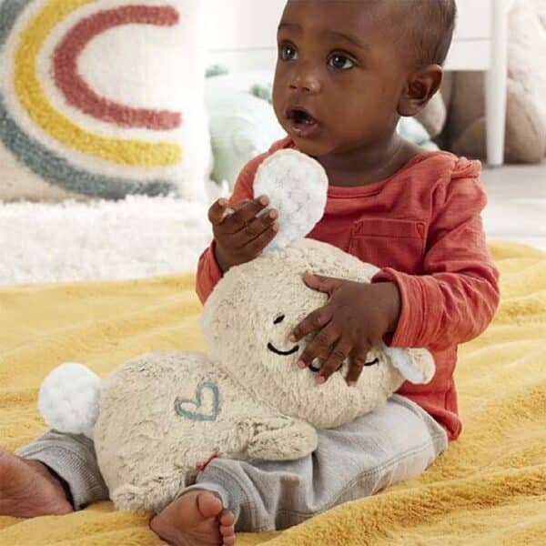 Fisher Price Kalmerend Konijntje Soothe and Settle Bunny 0194735229659