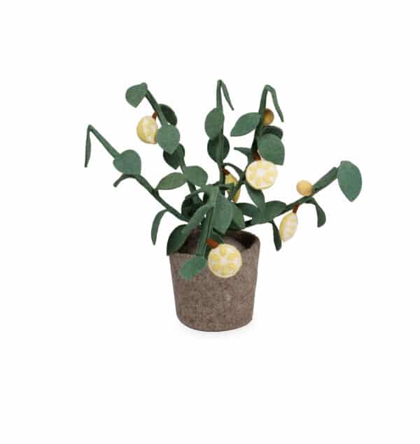 KidsDepot Plant Vilt Citrus 8719784460286