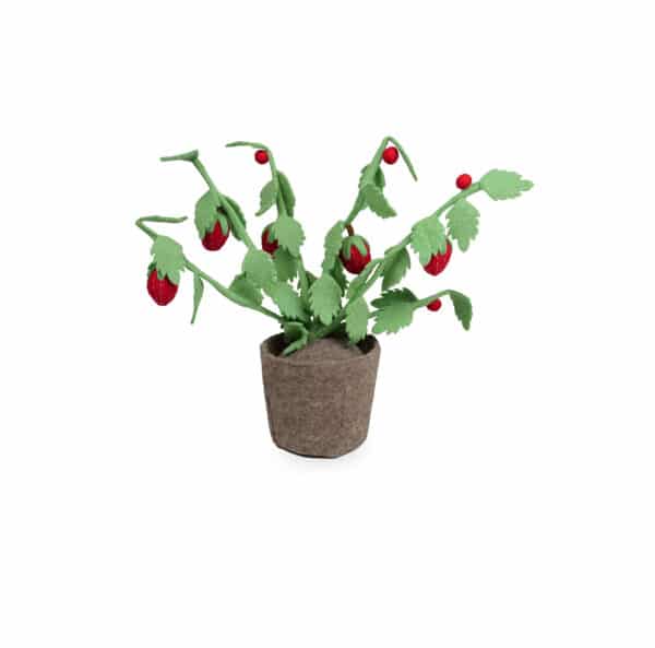 KidsDepot Plant Vilt Strawberry 8719874466370