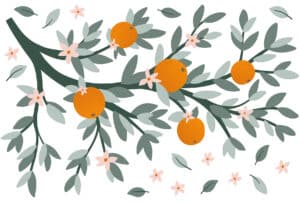 Lilipinso-Louise-Muurstickers-XL-Tak-met-Sinaasappels-2.jpg
