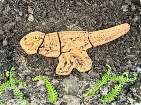 Yellow Door Dig & Discover Ankylosaurus en Tyrannosaurus Rex