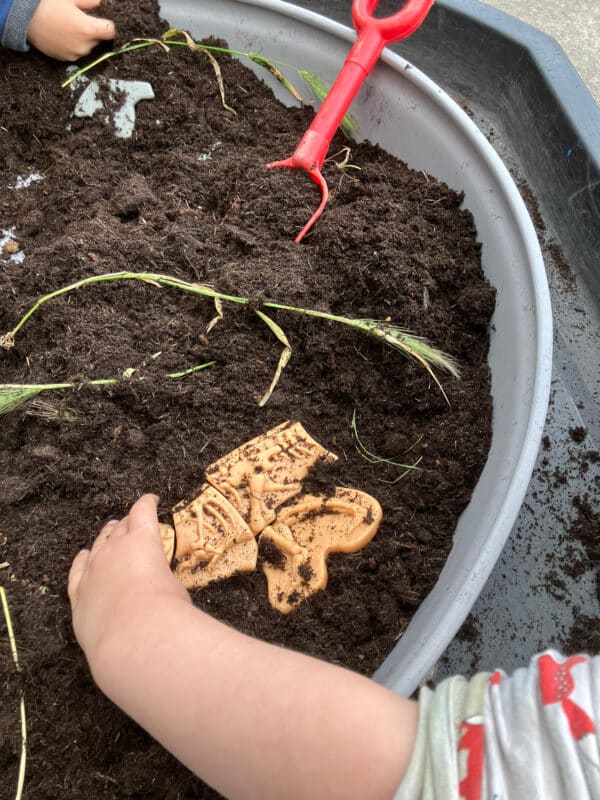 Yellow Door Dig & Discover Ankylosaurus en Tyrannosaurus Rex